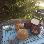Çiftlik konaklama Siedlisko U Szczyglow *