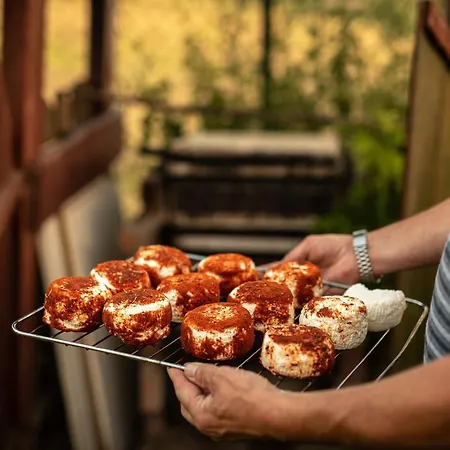 Siedlisko U Szczyglow Kruklanki