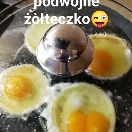 Фермерский дом Siedlisko U Szczyglow